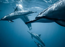 老骥伏枥！詹姆斯晒凌晨5点43分训练：早间的训练打卡！